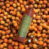 Forca da Floresta Lissage a Base de Proteines 1L alt
